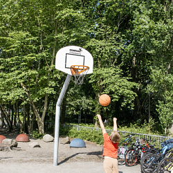 Basketballen.png